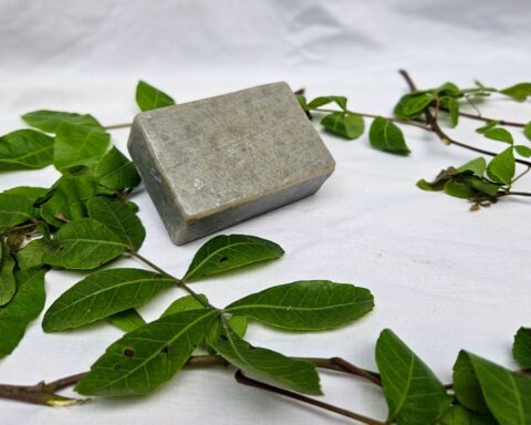 Oficinas em Teixeira de Freitas ensinam a fazer cosméticos com plantas medicinais 