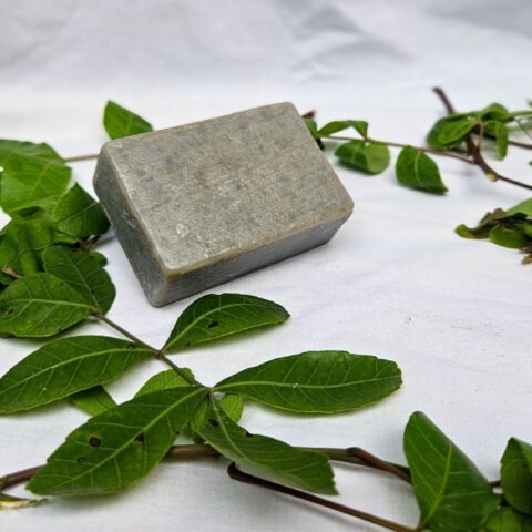 Oficinas em Teixeira de Freitas ensinam a fazer cosméticos com plantas medicinais 