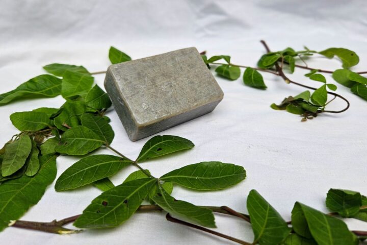Oficinas em Teixeira de Freitas ensinam a fazer cosméticos com plantas medicinais 