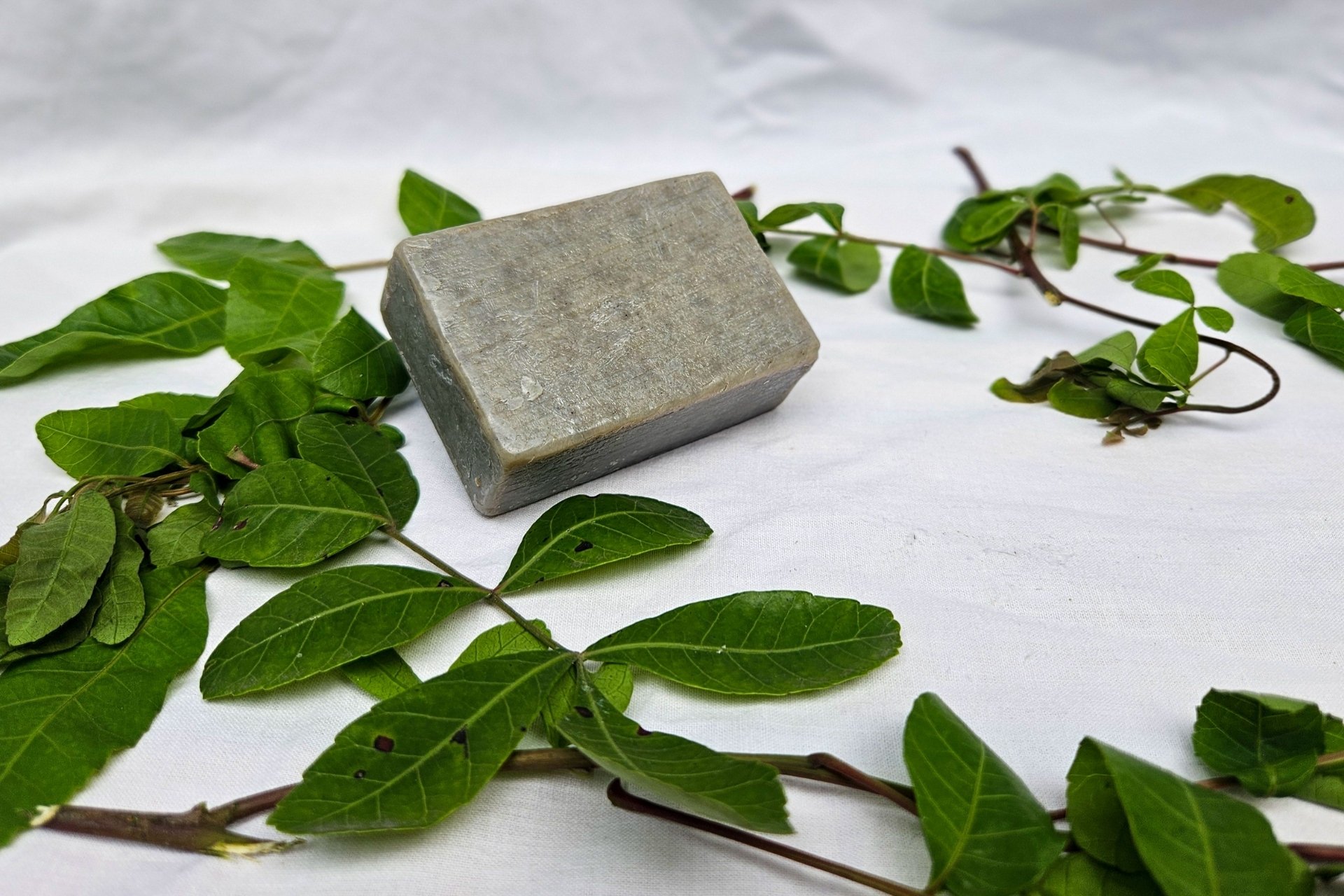 Oficinas em Teixeira de Freitas ensinam a fazer cosméticos com plantas medicinais 