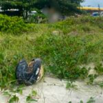 Pesquisa mapeia degradação ambiental na região sul de Ilhéus