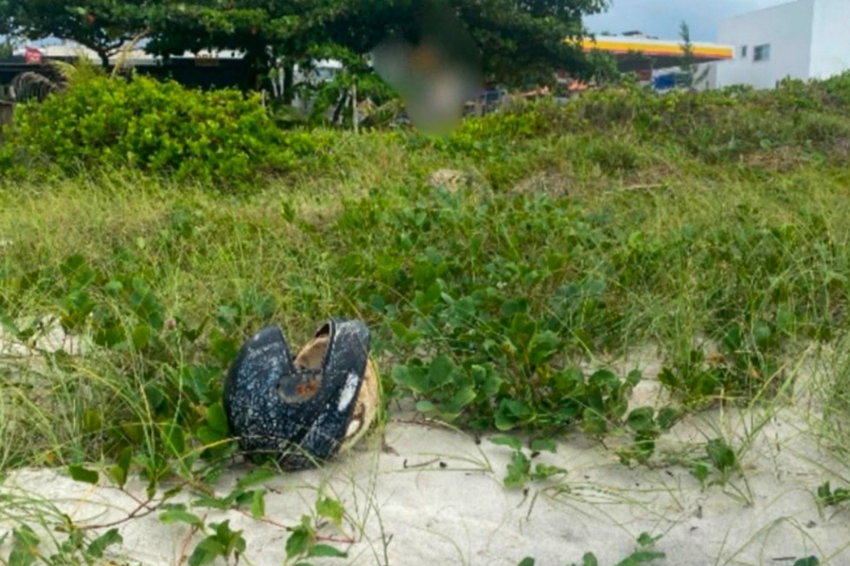 Pesquisa mapeia degradação ambiental na região sul de Ilhéus